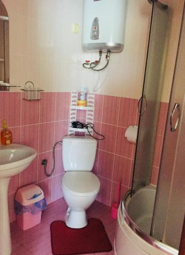 a bathroom with a toilet and a sink at Mini Hotel Furmi in Skhidnitsa