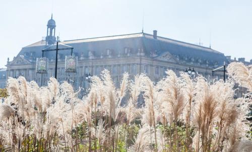 a large building in the background with tall white plants at Best Western Premier HBEO Bordeaux Centre in Bordeaux