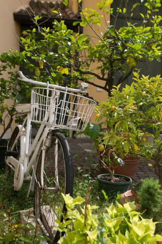 a bike parked in the grass next to some trees at A Casa di Tom in SantʼAmbrogio di Valpolicella