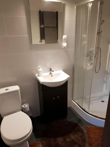 a bathroom with a toilet and a sink and a shower at Kwatera prywatna in Augustów