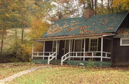 a small black house with a green roof at The Cabins at Healing Springs in Crumpler
