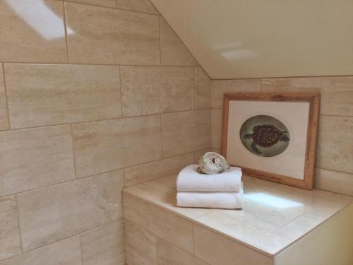 a bathroom with a towel sitting on a shelf at Harbour Guesthouse in Clark's Harbour