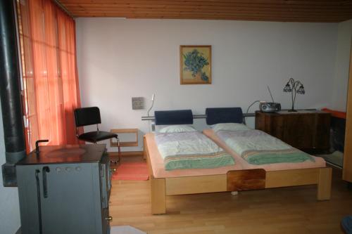 Bergdohle photo 2