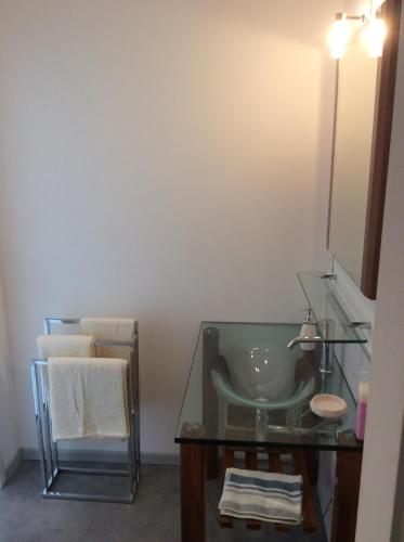 レジーニャン・コルビエールにあるvilla du chai studio pyrénéesのバスルーム(ガラスの洗面台、鏡付)