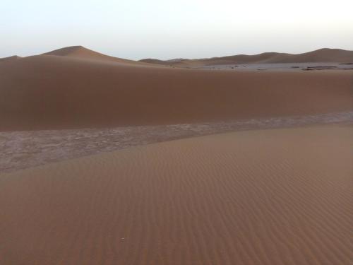 a sand dune in the desert with hills in the background at Bivouac Les Nomades & Foum zguid to chegaga tours in Foum Zguid