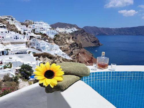 a yellow sunflower sitting on a ledge next to a pool at Aqua & Terra Traditional Cave Houses in Oia