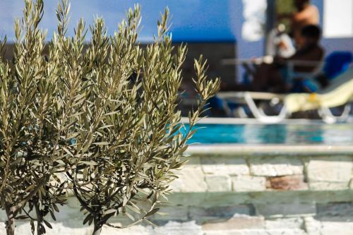 Πισίνα στο ή κοντά στο Villa Faros Luxury Apartments & Suites