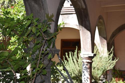 an archway in a building with a plant at Casa Relox 23 in San Miguel de Allende