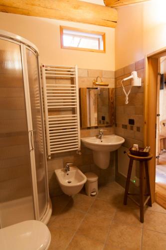 a bathroom with a sink and a toilet and a shower at L' Aroula Rooms & Restaurant in Champoluc