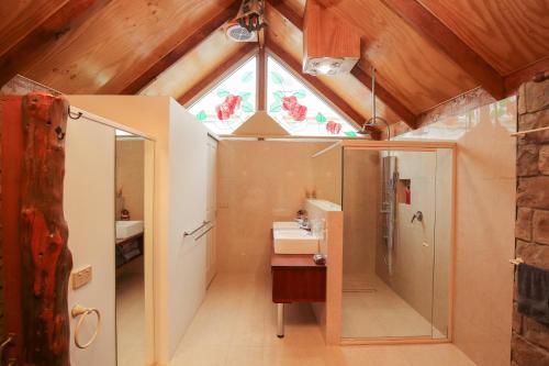 uma casa de banho com um chuveiro, um lavatório e uma janela em The Stable On Olive em Mildura