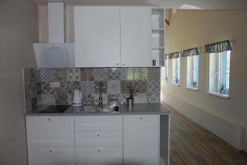 a kitchen with white cabinets and a sink at Apartment Ptačí Dům in Sněžnik