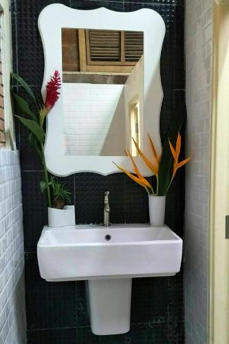 a bathroom with a sink and a mirror and plants at Baanmai Phaipa House in Sai Yok