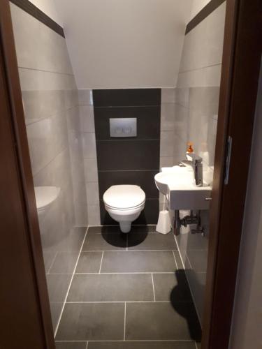 a bathroom with a toilet and a sink at Sarah klein aber fein in Wellesweiler