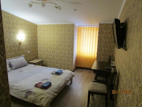 赫梅利尼茨基的住宿－Salus，一间小卧室,配有一张床和一张书桌
