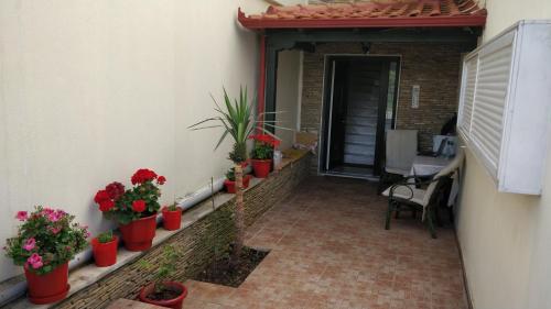 Balcon ou terrasse dans l'établissement Hermanos