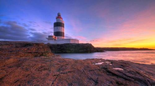 Fotografie z fotogalerie ubytování Tobernaglough Wexford pet friendly country b&b v destinaci Ramsgrange