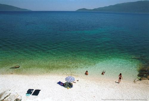 a group of people on a beach with the water at Katerina Studios in Ayia Evfimia