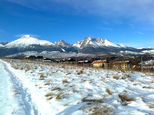 a snowy field with snow capped mountains in the background at Sifra 276 in Nová Lesná