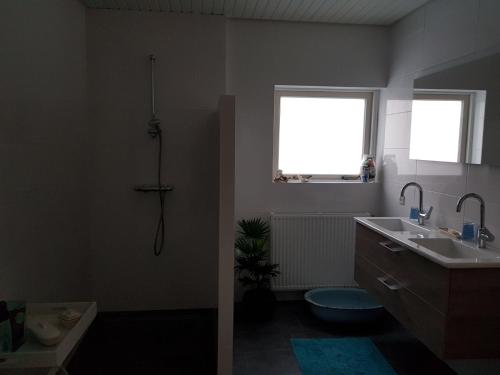 ein Bad mit einer Dusche, einem Waschbecken und einem Fenster in der Unterkunft B&B Loon in Loon