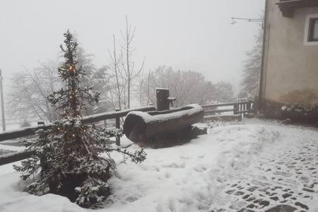 a snow covered yard with a christmas tree and a fence at BARDONECCHIA SCI E RELAX in Bardonecchia