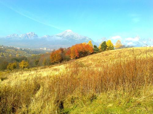 a grassy hill with trees and mountains in the background at Sifra 276 in Nová Lesná