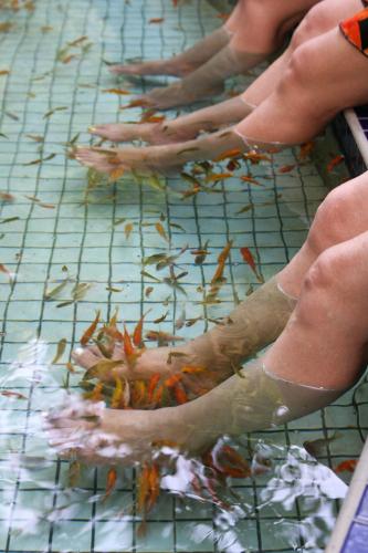 a group of people with their feet in the water at Jenq Yang Hotspring Hotel in Renai