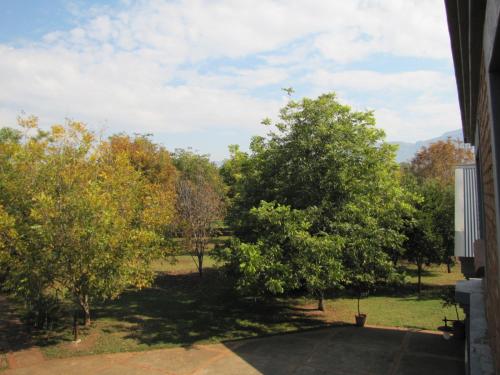 a view from a window of a yard with trees at Millstream Inn guest house in Skeerpoort