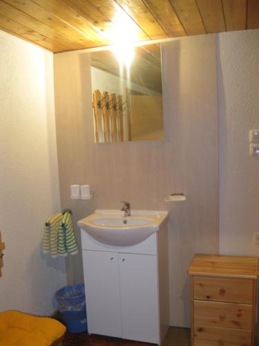W łazience znajduje się biała umywalka i lustro. w obiekcie Rossruckhof w mieście Rohrberg