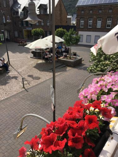 a bunch of red flowers in a flower bed at Pension "Am Markt" in Treis-Karden