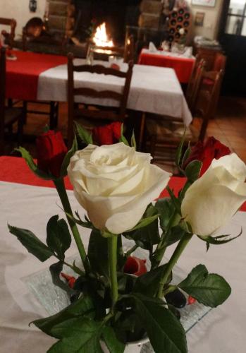a vase with two roses on a table at Chambres d'Hôtes de la Ferme Auberge de Mésauboin in Billé