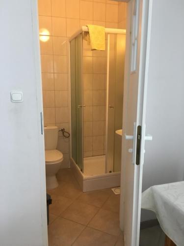 a bathroom with a shower and a toilet at Ferienappartement Teresa in Sławoszynko
