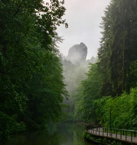 a misty river with trees and a mountain in the background at Ferienwohnung Am Grünbach 2 in Kurort Rathen