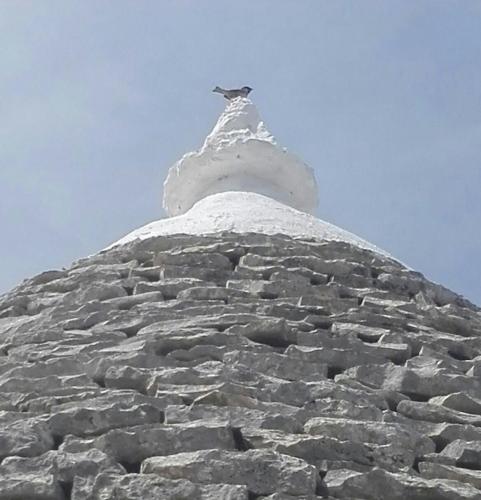 a bird sitting on top of a stone building at Borgo trulli 1789 in Ostuni