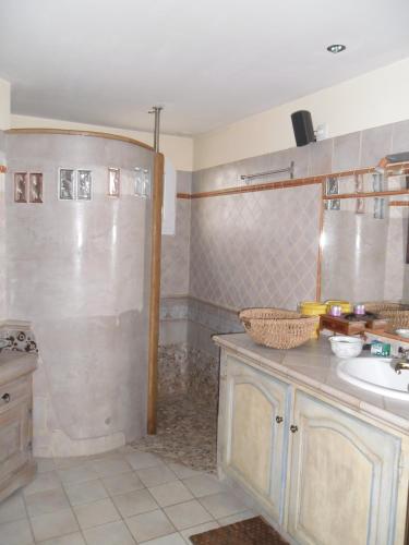 une salle de bain avec un lavabo et une douche dans l'établissement Maison de Campagne, à Vaison-la-Romaine