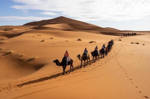 a group of people riding camels in the desert at Riad Raouia HAMMAM & SPA in Fès