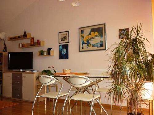 TV a/nebo společenská místnost v ubytování APARTMENT IVA 2