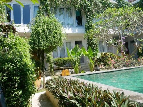 a swimming pool in front of a house with plants at Bingin Inn in Uluwatu