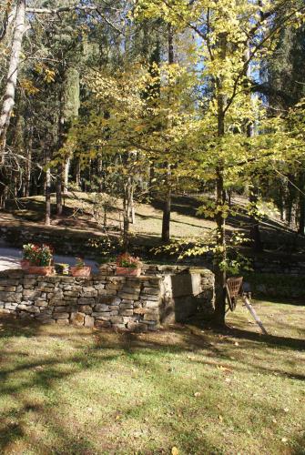 a stone wall in a yard with a tree at Relais La Torre in Chiassa Superiore