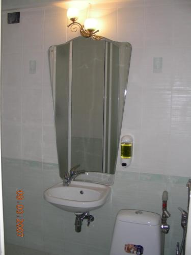 ドニプロにあるКвартира на пр. Александра Поляのバスルーム(洗面台、鏡、トイレ付)