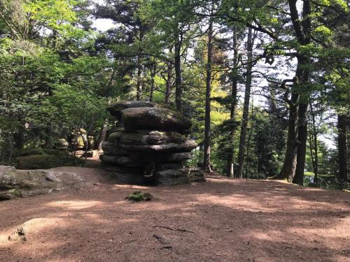 a stack of rocks sitting on top of a forest at Chez Dina in Lutzelhouse