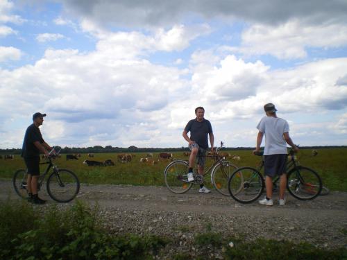 Cykling ved Ethno Village Stara Lonja eller i nærheden