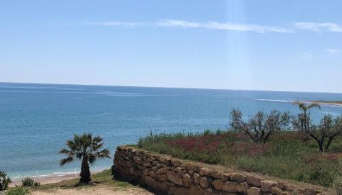 a stone wall next to the ocean with a palm tree at Villa Sciacca Lumia LUNA in Sciacca