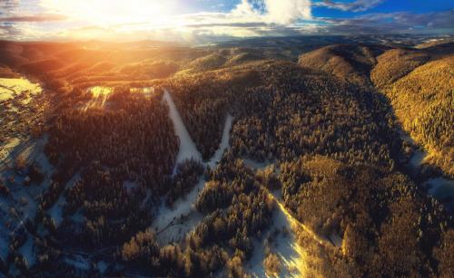 an aerial view of a forest in the mountains at Truskavets 365 Hotel in Truskavets
