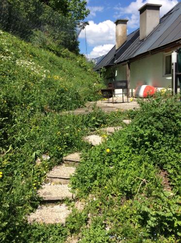 a stone path in the grass next to a house at kajakshop-wildalpen in Wildalpen