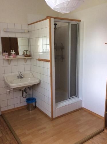 a bathroom with a shower and a sink at kajakshop-wildalpen in Wildalpen