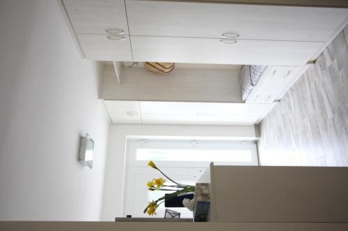 a room with a ceiling with a plant in it at Levendula Nyaraló in Csopak