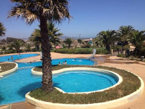 uma grande piscina com uma palmeira num resort em Condominio ILIMAY em Las Cruces