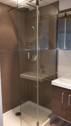 une douche en verre dans une salle de bain avec un lavabo dans l'établissement Bel Appartement St Malo avec jardin à 2 pas de la plage Sillon, à Saint-Malo