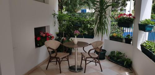 a table and chairs in a room with plants at Apartments Tamara in Budva