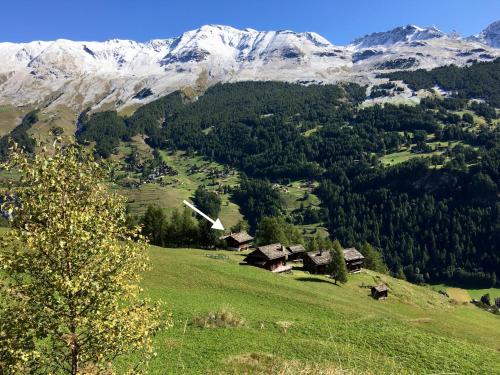 a mountain with houses on a green hill with snow covered mountains at Grand Pra in Haudères